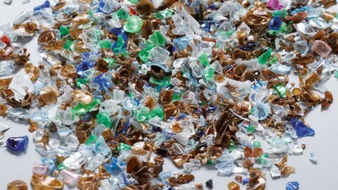 Recyclage du PET - mélange de paillettes en sortie de ligne de lavage Recyclage du PET - mélange de paillettes en sortie de ligne de lavage